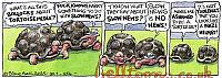 250130 NUJ254-TORTOISE